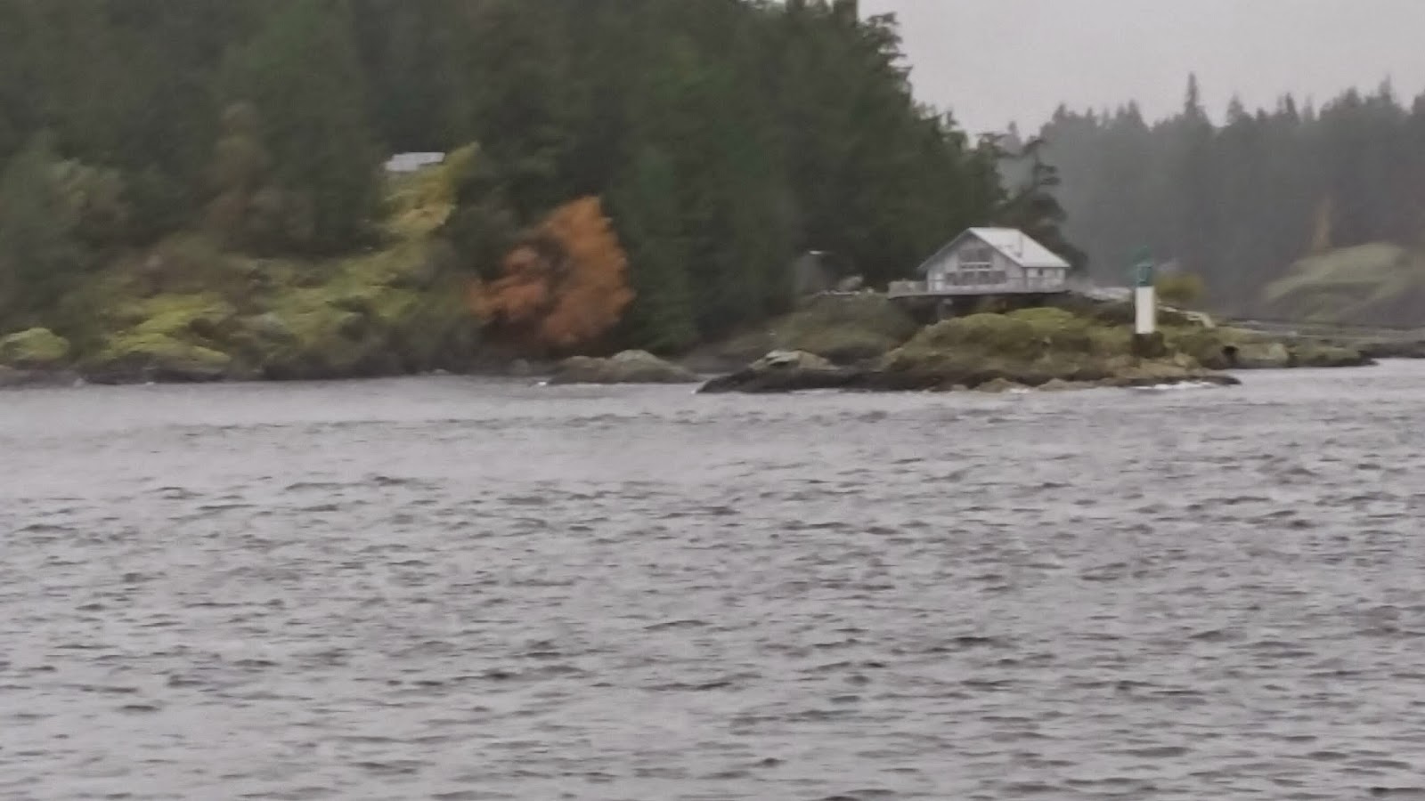 Life, Art and Travel of Lynn Myette Quathiaski Cove, Quadra Island, B.C.