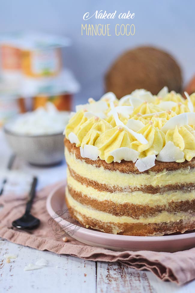 layer-cake-mangue-coco
