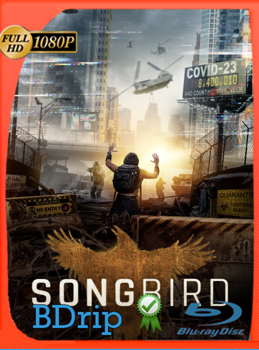 Infectados (2020) BDRip 1080p Latino [GoogleDrive] Ivan092