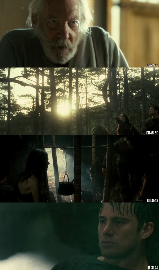 The Eagle 2011 BRRip 720p 480p Dual Audio Hindi English Full Movie Download