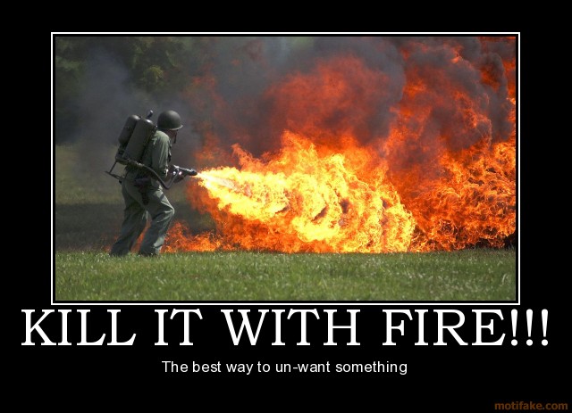 kill_it_with_fire_demotivational_poster_1235695993_RE_Mysterious_Creatures_Found_on_Earth-s580x419-232628.jpg