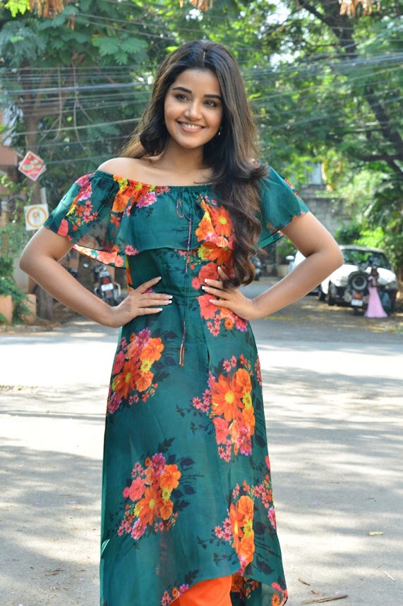 Anupama Parameswaran at Hello Guru Prema Kosame Promotions