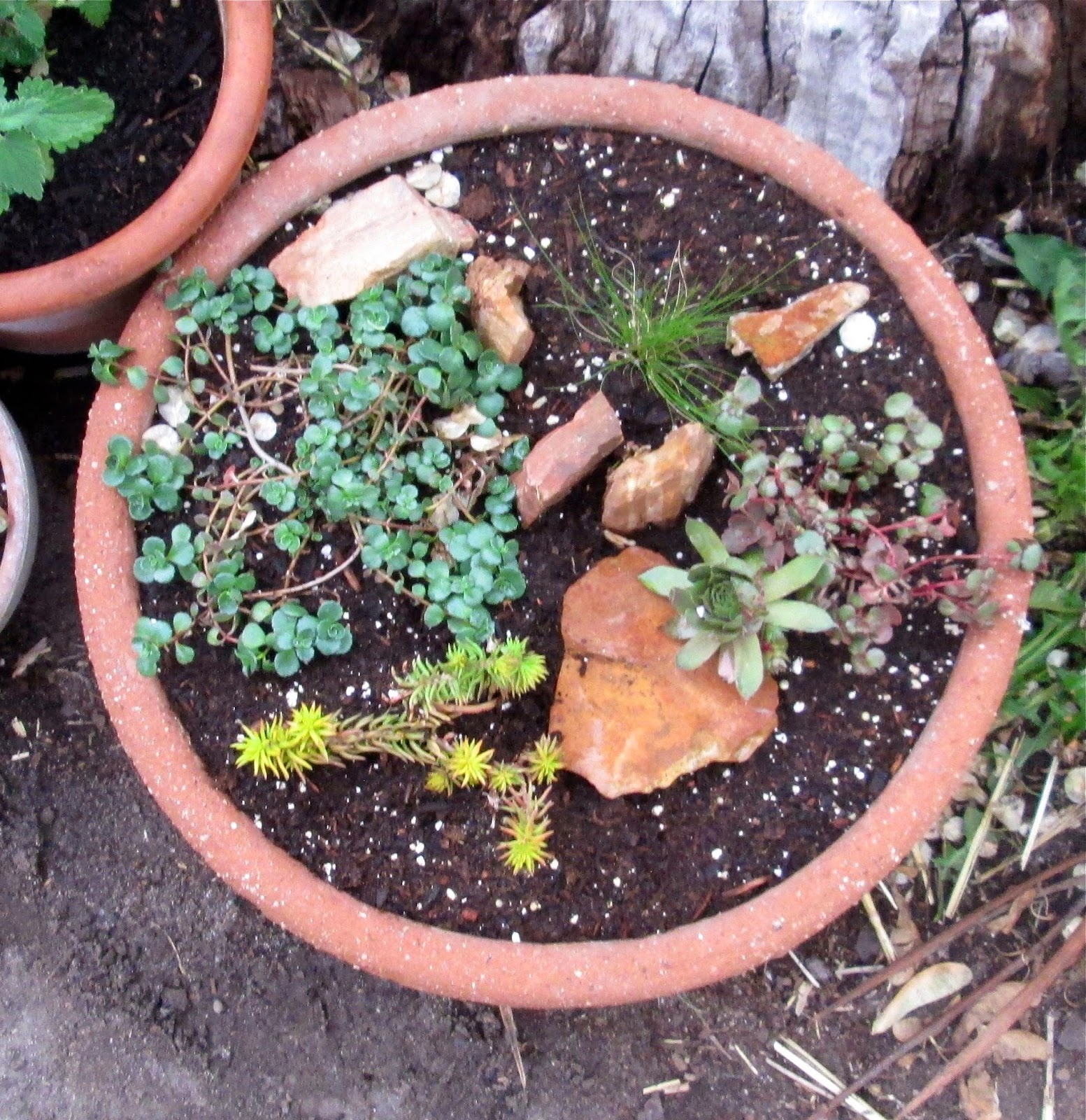 My DIY Vintage Garden The DIY container rock garden in a shallow bowl