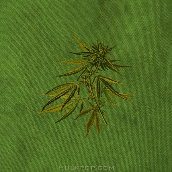 ColorTheBen – Green – Single