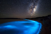 Bioluminescent Phytoplankton and the Milky Way Galaxy