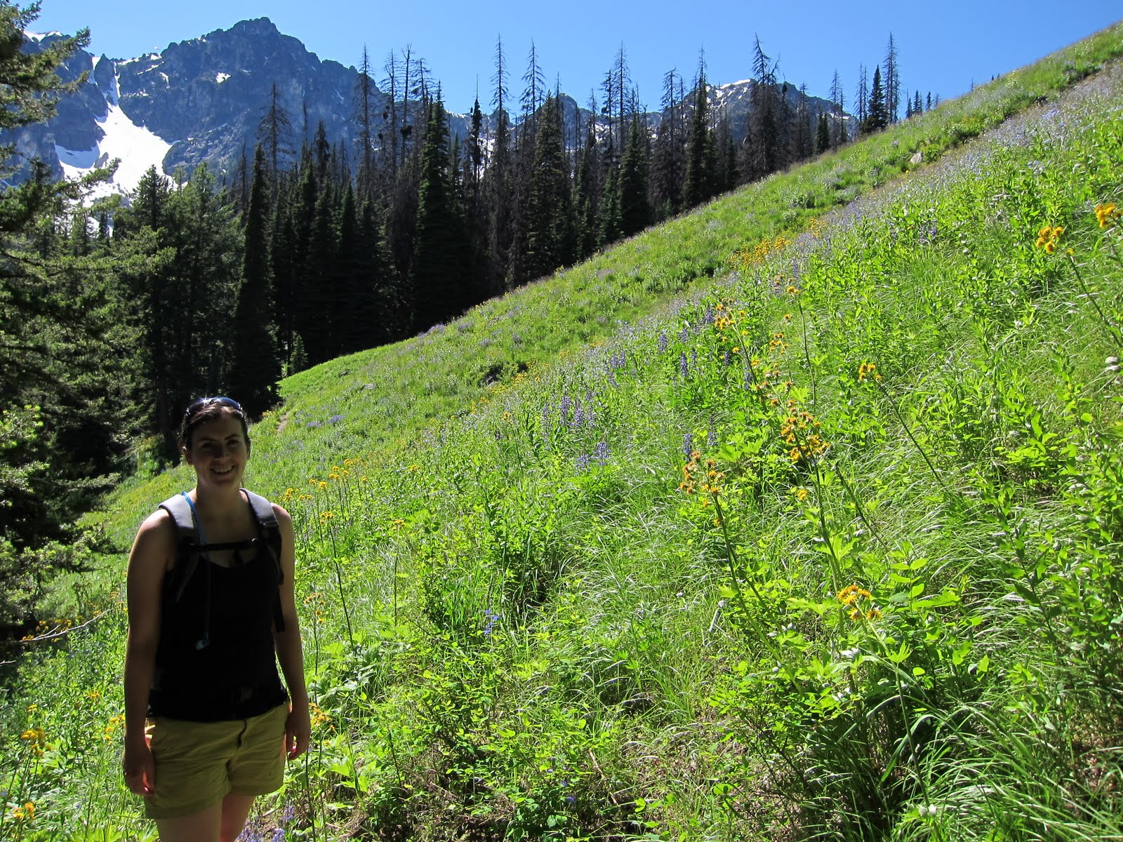 Nature's Playgrounds Copper Glance Lake