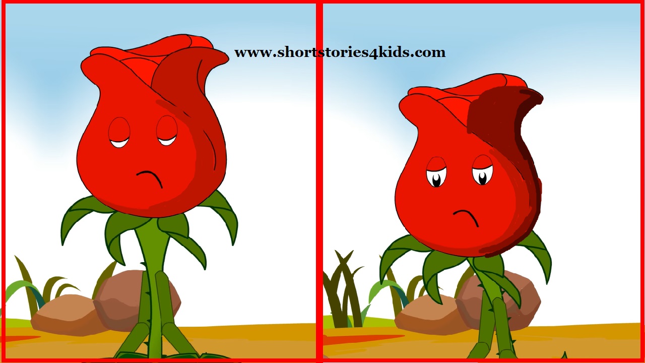 The Proud Rose Moral Story for Kids Short Stories 4 Kids