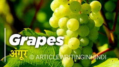 Grapes अंगूर