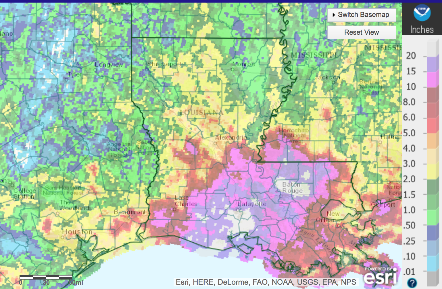 MSE Creative Consulting Blog Storm Total Rainfall 20+ Inches!