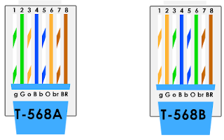 standart T-568A dan T568B
