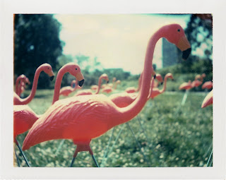Flamingos by ~emeph on deviantART