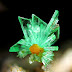 Unique Annabergite Crystals 
