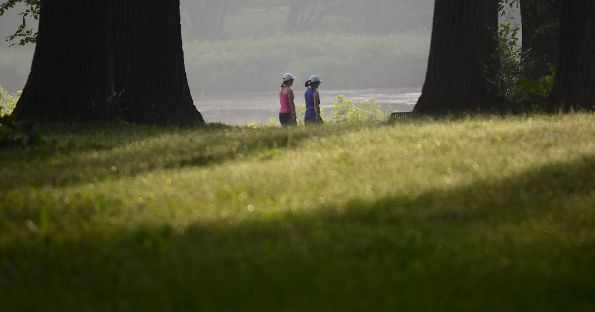 Savoring Servant Walkers in the park