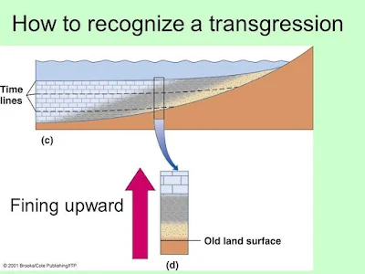 Transgression How to Identify Transgression and Regression in a Sedimentary Outcrop