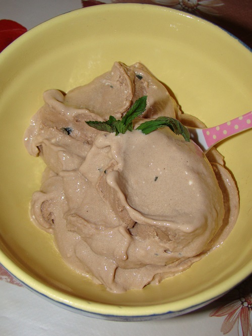 Inghetata de ciocolata cu menta proaspata