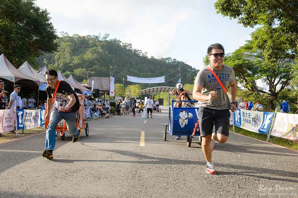 婚攝小動、婚攝推薦、活動紀錄、哈士奇、雪橇