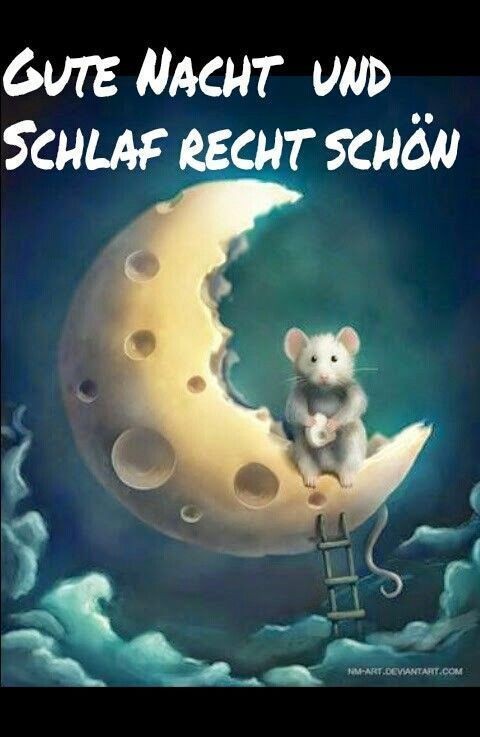 Schlaf Gut Bilder Lustig Kostenlos - zoilpeffiy