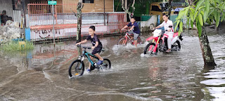 Hujan Deras, Sejumlah Jalan dan Rumah di Sinjai Utara Tergenang Air