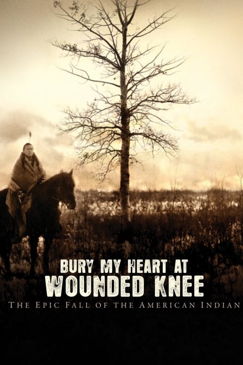 [HD] Entierra mi corazón en Wounded Knee 2007 Pelicula Online Castellano