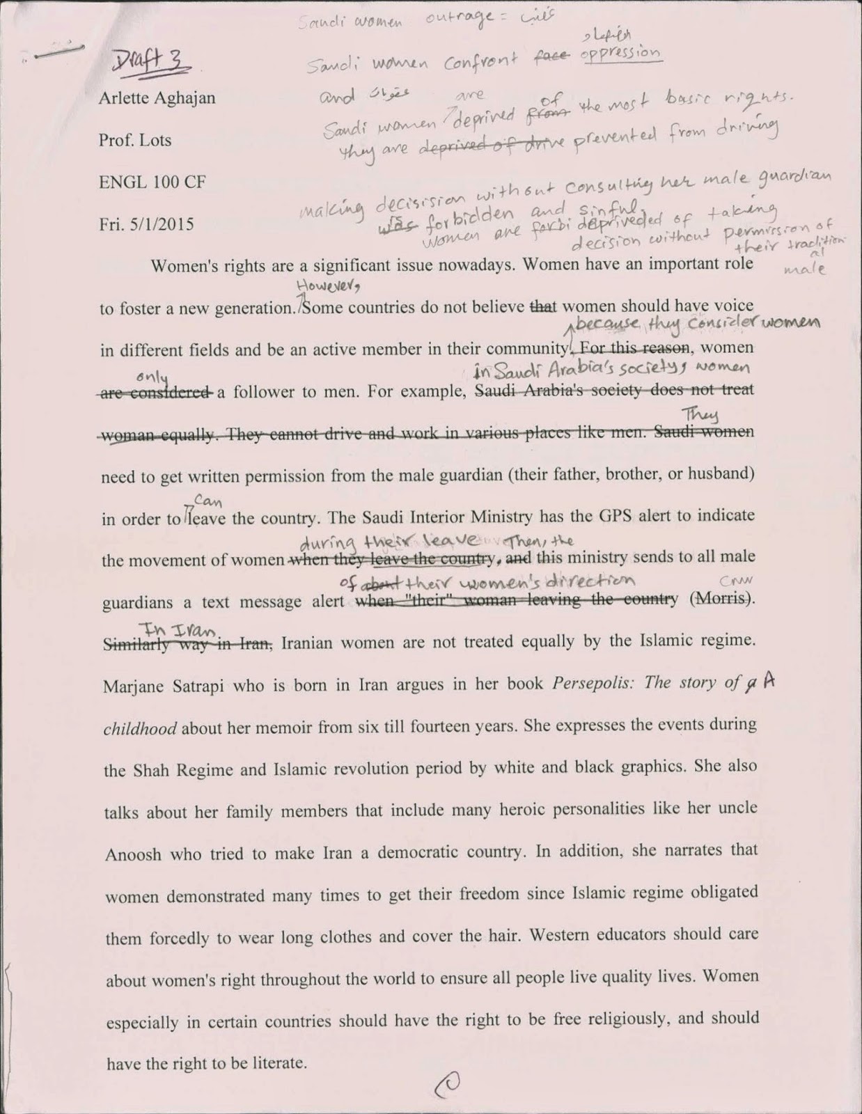 Persepolis character analysis essay image