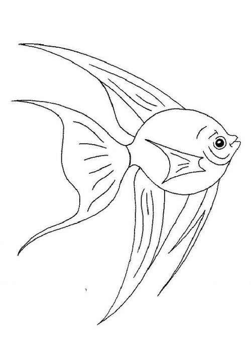 Free Coloring Pages for Kids: Fish Coloring Pages For Kids