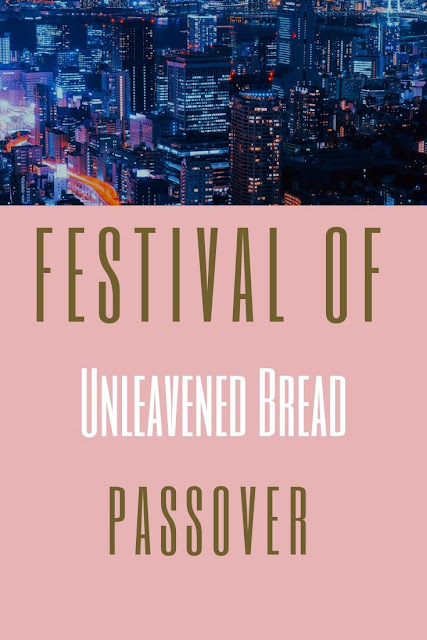 Happy Passover  | Happy Pesach Greeting Cards | 10 Awesome Pesach Festival Of Liberation Cards