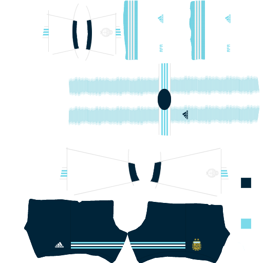 dls 20 argentina kit