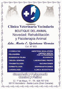 Clínica Veterinaria Vecindario