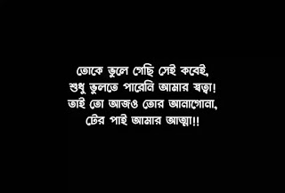 100+ Best Premer Kobita (প্রেমের ছন্দ কবিতা) Bangla Premer Kobita