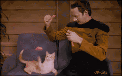 Art Cat GIF • Cinemagraph • Lieutenant Commander Data in Star Trek playing with his beloved cat, "Spot" Art Cat GIF • Cinemagraph • Lieutenant Commander Data in Star Trek playing with his beloved cat, "Spot"