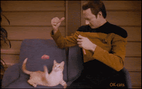 Art Cat GIF • Cinemagraph • Lieutenant Commander Data in Star Trek playing with his beloved cat, "Spot"