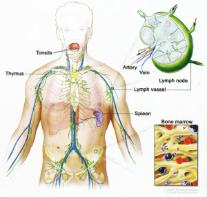 Nyesel Kalau Tidak Minum Air Putih Setiap Hari! Inilah 10 Manfaat Minum Air Putih Yang Dahsyat