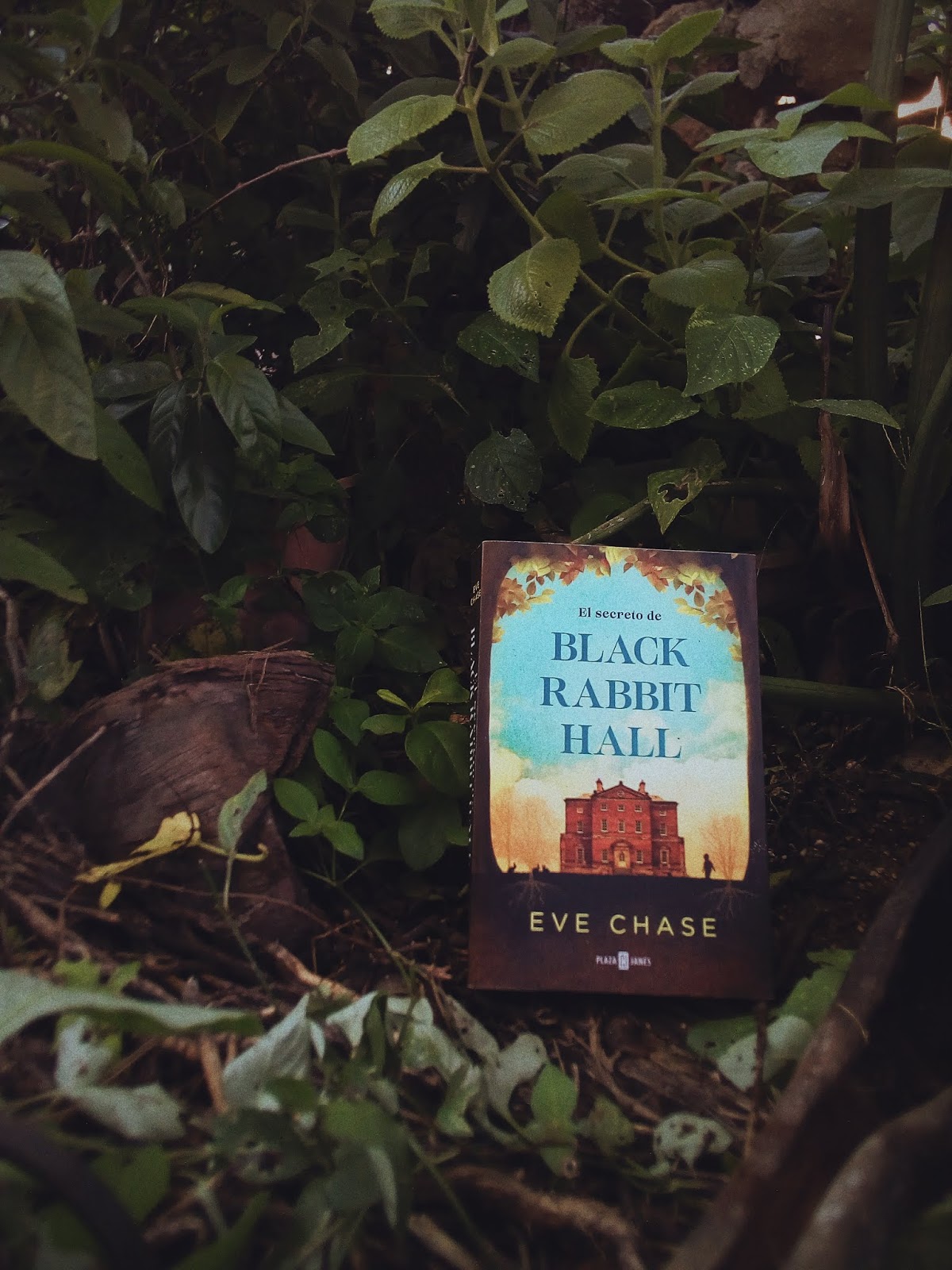 uadebuk: Hay más en una casa que sólo paredes y El Secreto de Black ...