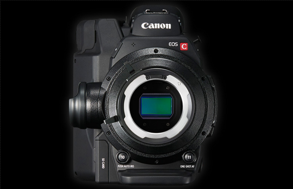 Michael Daniel Ho - The Wildlife Ho-tographer: Canon Cinema C300 Mark