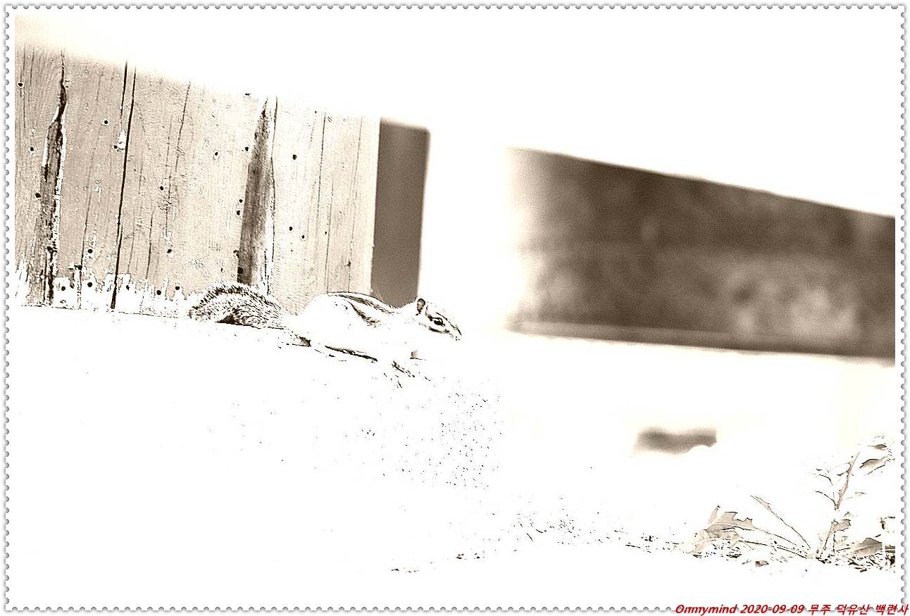 무주 백련사 무주 백련사