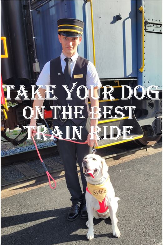 Do Trains Take Dogs