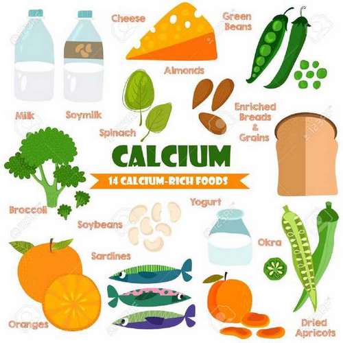 Bienfaits du calcium : ostéoporose, contraction cardiaque...