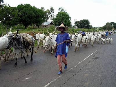 Delta community ask Fulani herdsmen to vacate their land