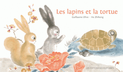 lapins tortue