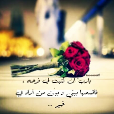 27648fadaeyat