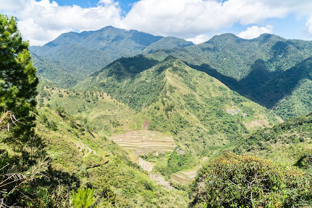 Pula-Région de l'Ifugao-Luçon-Philippines