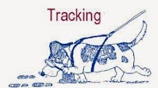 How the Indian Government is Tracking you