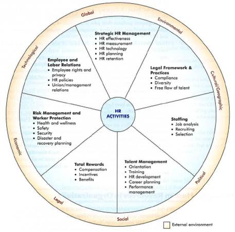 What Is Development Process In Hrm - Best Design Idea