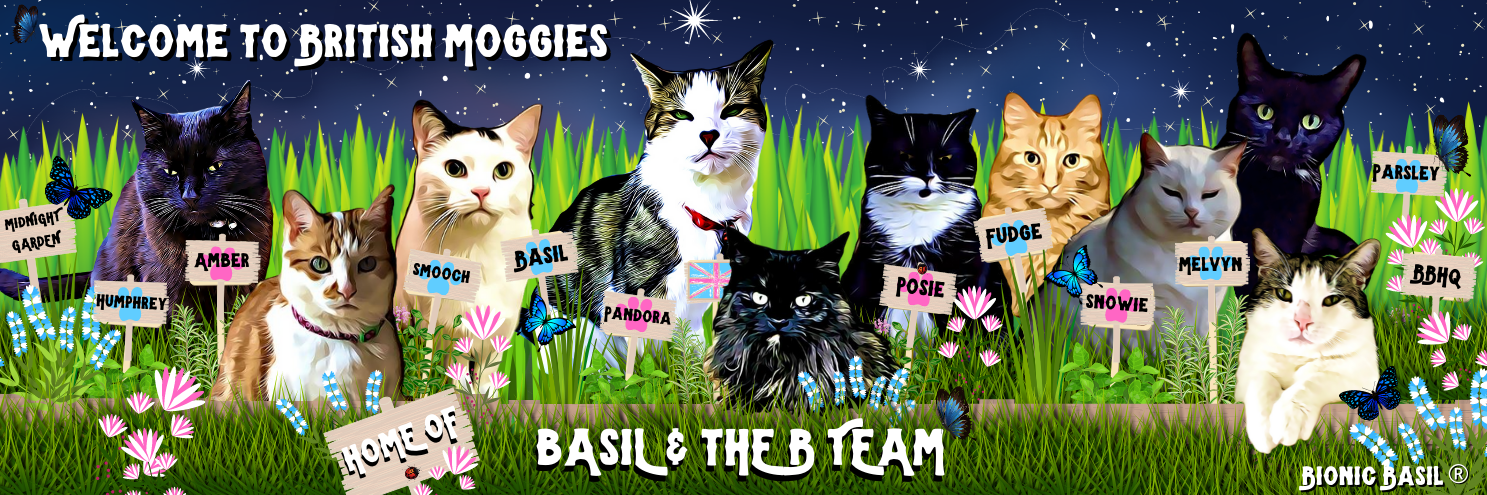 Bionic BasilĀ® home of Basil and The B Team