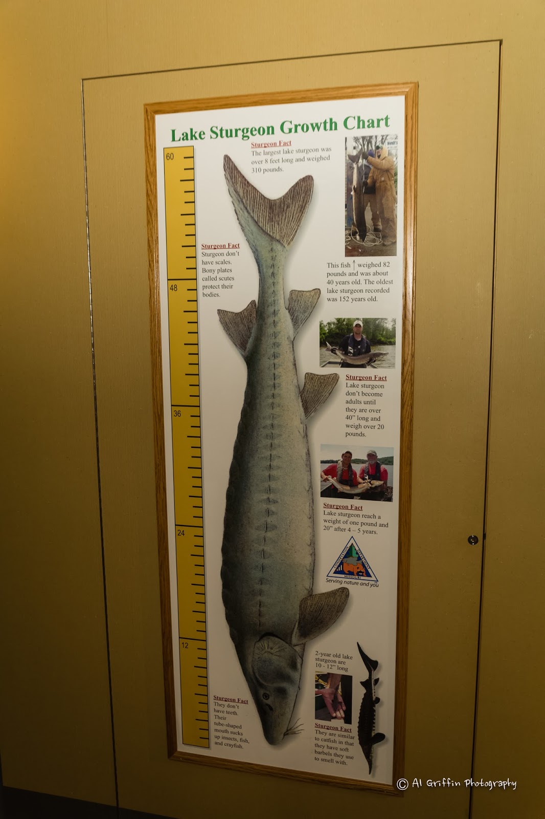 Our Eyes Upon Missouri Lost Valley Fish Hatchery, Warsaw, Missouri