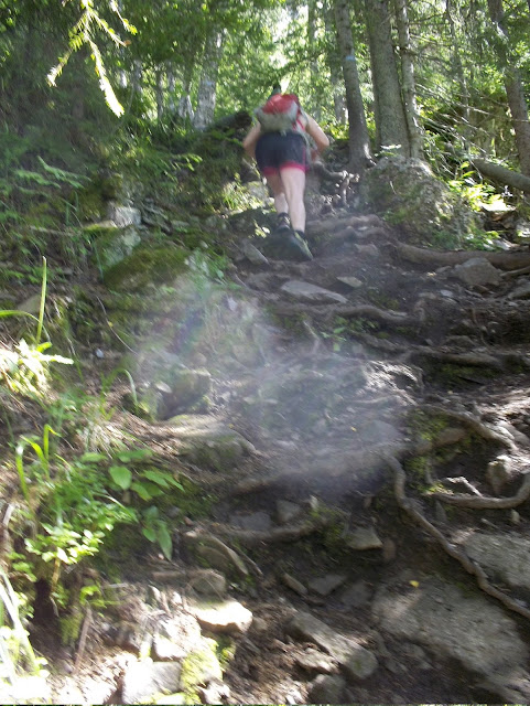 100_1042.JPG