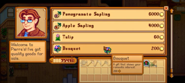 Cara Menikah Di Game Stardew Valley Android