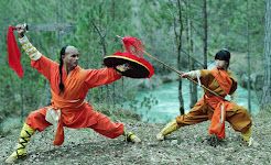 Clases y Cursos de Kung Fu : Infórmate 626 992 139 Paty-Lee.