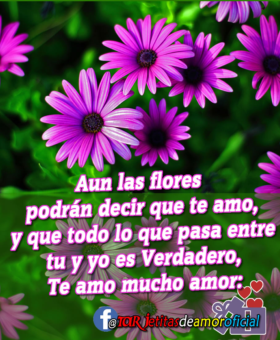 '*♥* '*♥* Te AMO con mi soñar, te amo con mi vida, te amo con mi