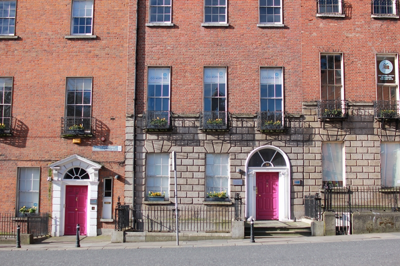 vue d'une rue résidentielle avec des maisons aux portes typiquement irlandaises
